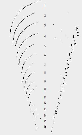 Голки хірургічні, з пружинним вушком діаметром 0,9 мм (mm), ріжучі зворотні (ріжуча), окружність 1/2, довжиною 36,0 мм (mm)